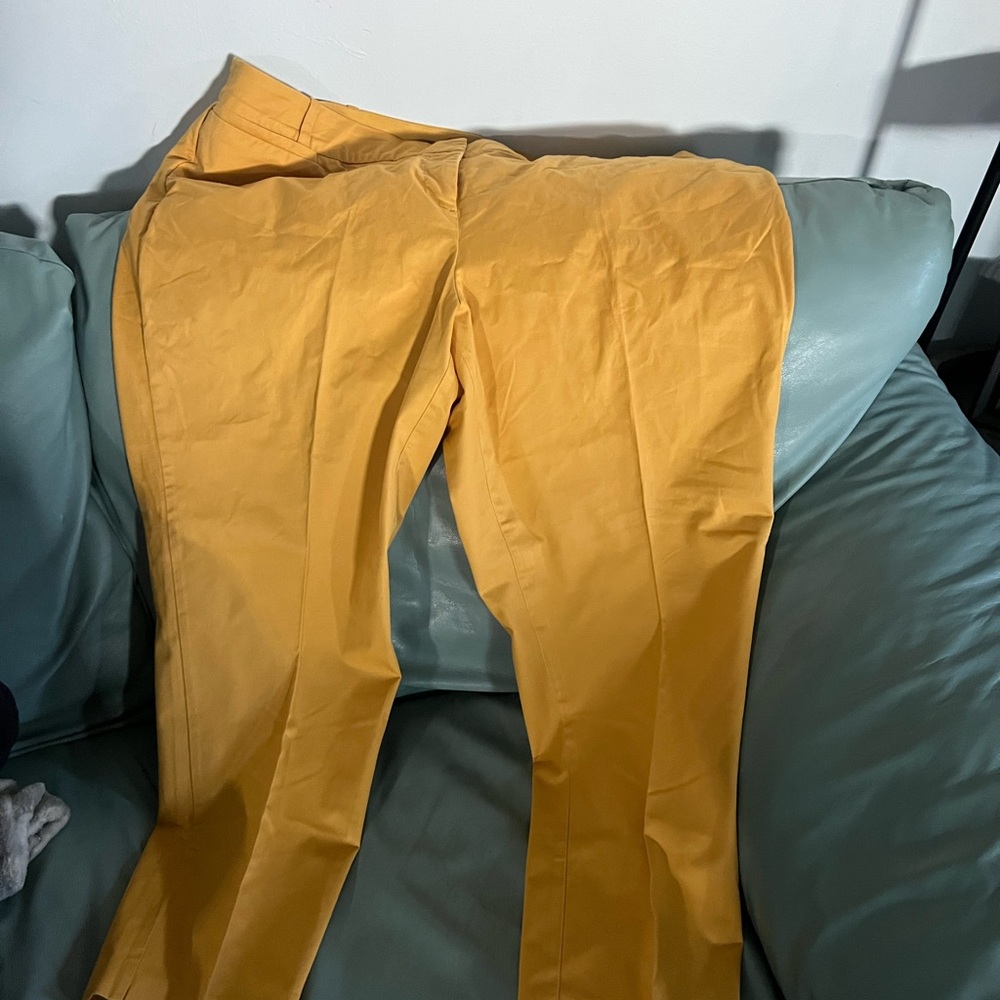 Lane Bryant  Mustard Chinos